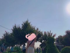 -武汉紫薇都市田园