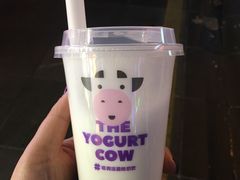 -一只酸奶牛(八一路店)