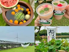-七的湖·晚芳亭·阳澄湖农家菜·大闸蟹(莲花岛店)