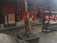 -丰都鬼城名山景区