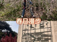 -元大都城垣遗址公园