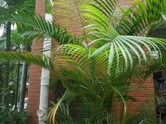 -小海花舞蹈艺术学校