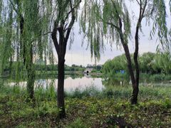 -塘沽森林公园