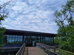 -白鹭湾湿地公园