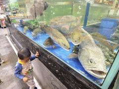 水产区-东江海鲜酒家(艺都分店)
