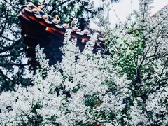 -碑林公园