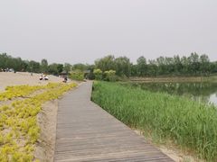 -东郊湿地公园