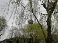-西湖天地