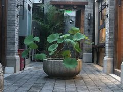 -糖房咖啡(南锣鼓巷店)