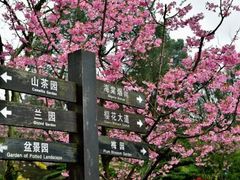 -南山植物园