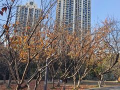 -苏州河梦清园环保主题公园