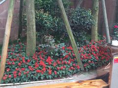 -楠柏弯休闲山庄(梨花溪店)
