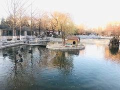 -北京市海淀外国语实验学校