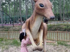 -合肥滨湖国家森林公园