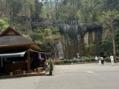 -西双版纳原始森林公园