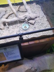 -酷嗒动物文化乐园(cutezoo西溪乐天城店)