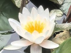 -莲池书院博物馆