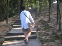 -火炉山森林公园
