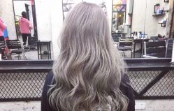 -SALON V