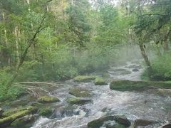 -汤旺河林海奇石景区
