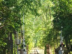 -合肥滨湖国家森林公园
