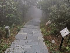 -梧桐山风景名胜区