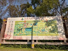 -上海海湾国家森林公园