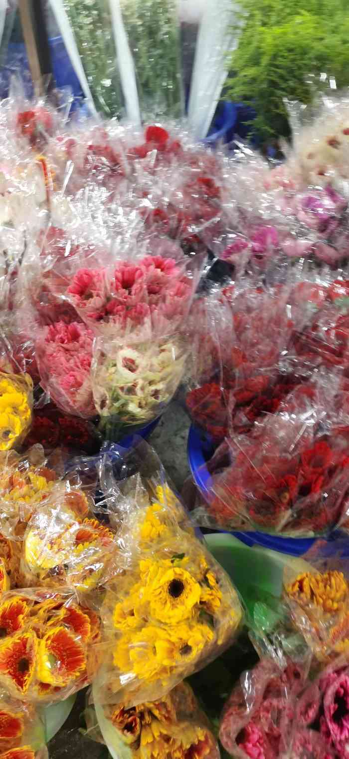 大溪沟聚金花市-"这个花市不太大,商家可能有十几家到二十家.