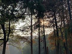 -东湖磨山景区