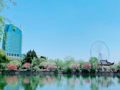 -无锡蠡湖国家湿地公园-蠡园