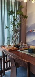 -觅境SPA·私享空间