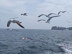 -海驴岛(荣成市)