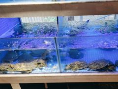 -王捌小院(红花坡店)