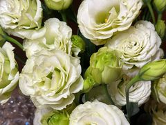 -奔驰北京鹏龙星徽(西大望路店)