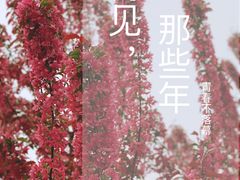 -海棠花溪(元大都城垣遗址公园)