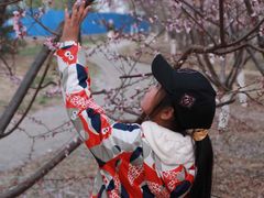 -永定河休闲森林公园