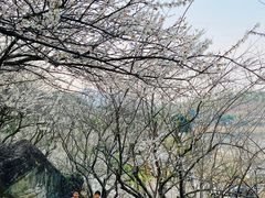 -广州市流溪河国家森林公园