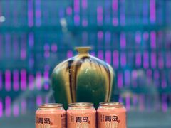 -辣公子·千岛湖私房菜(滨江店)