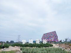 -紫颐香薰山谷景区