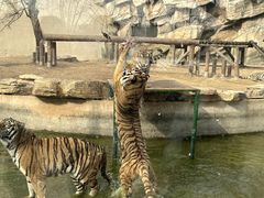 -济南野生动物世界