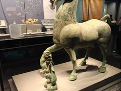 -广西壮族自治区博物馆