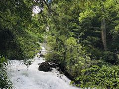 -迪庆藏族自治州博物馆