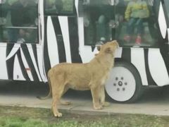 -西安秦岭野生动物园