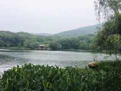 -紫霞湖公园