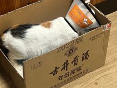 -派联宠物医院·24h·CT·异宠