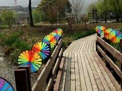 -长兴太湖图影湿地文化园