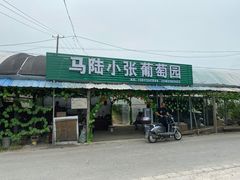 -马陆小张葡萄园农家乐