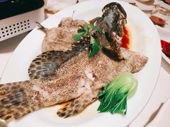 -顺峰(农展馆店)