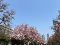 -天津五大道文化旅游区