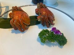 -红门金汤·港式火锅(英皇集团中心店)